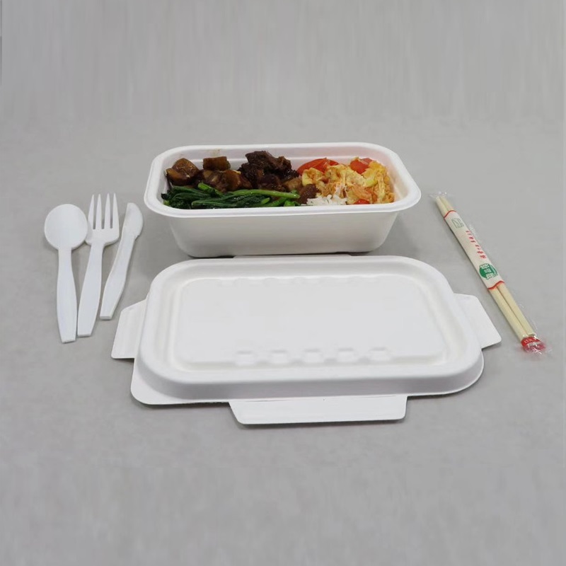 Wadah Makanan Bagasse 1000 ML
