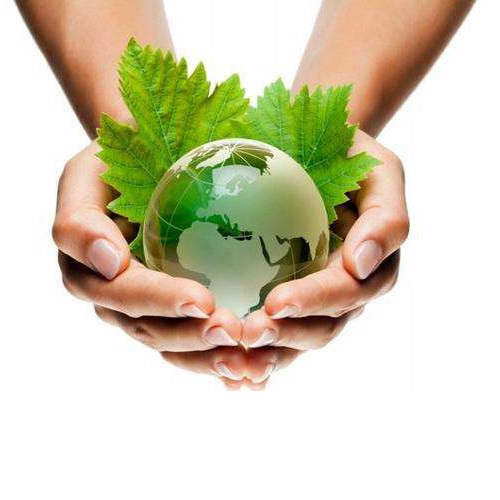 Belanda akan melarang beberapa produk plastik sekali pakai mulai Juli 2021