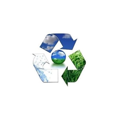 Queensland mengambil kebijakan untuk melarang sedotan dan piring plastik sekali pakai dalam upaya menyelamatkan kehidupan laut