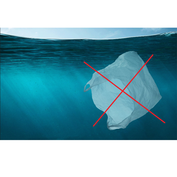 Korea Selatan melarang kantong plastik sekali pakai