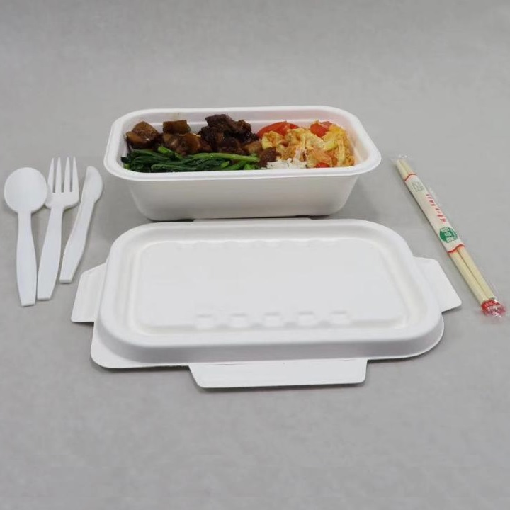 Konferensi Berbagi Kotak Peralatan Makan Bagas dari Shenglin Packaging