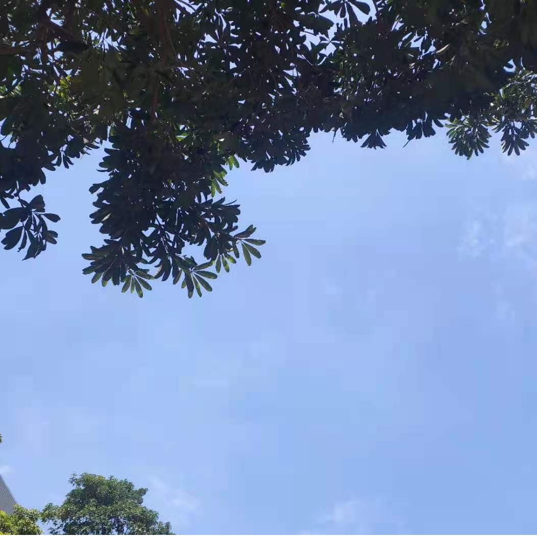 Hari Bumi Sedunia
