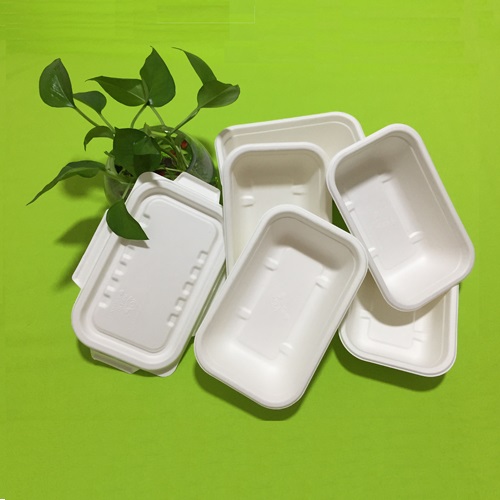 Memuat wadah makanan bio pulp