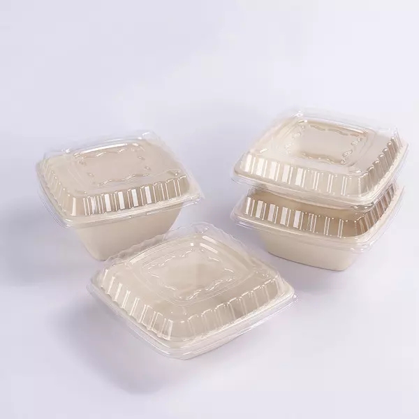 Mangkuk Bagasse Square