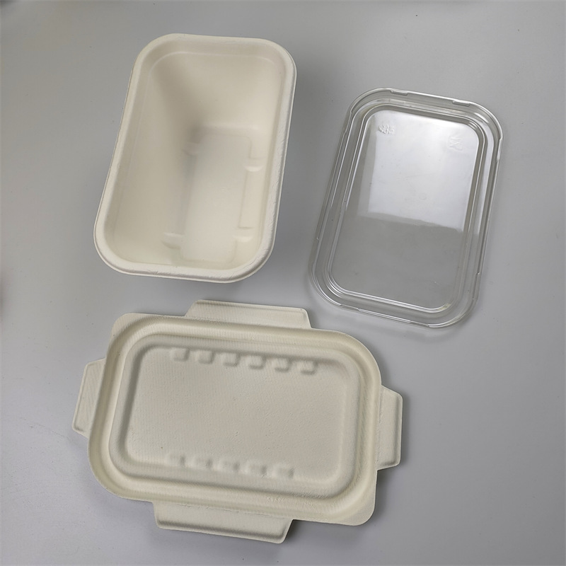 Wadah Bagasse Persegi Panjang 1000 ml